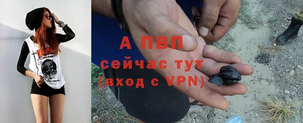 СК Михайловск
