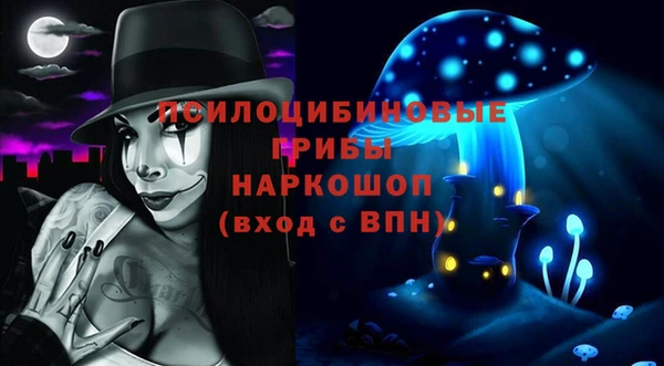 ECSTASY Мегион