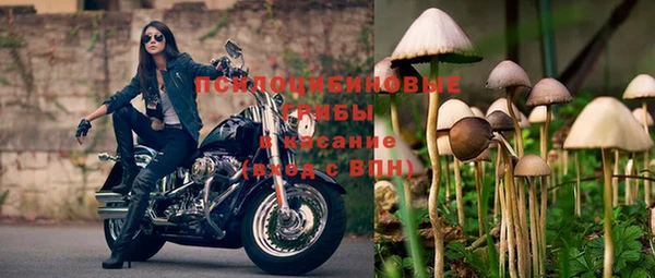 меф Медногорск