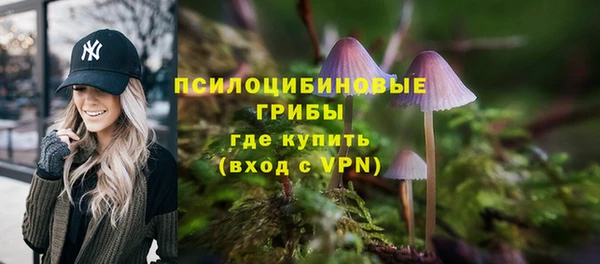 ECSTASY Мегион