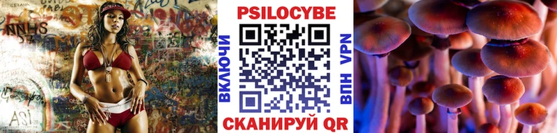 Псилоцибиновые грибы Magic Shrooms  Купить где  Новопавловск 